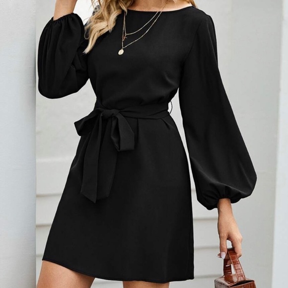 Blue long lantern sleeve belted dress - Picture 16 of 16